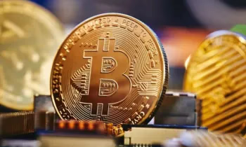 Через «Woody Exchange» отмыто 240 млн сомов: ГКНБ пресек деятельность криптообменника