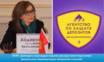 ЭКӨУ: Дүйнөдөгү жаштардын жарымы реалдуу инвестиция менен финансылык пирамидаларды айырмалай алышпайт