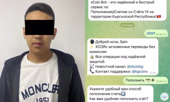 Пресечена деятельность группы по отмыванию доходов онлайн-казино - видео