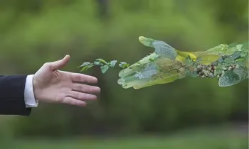 В рамках проекта Всемирного банка Гарантийный фонд запустит «Зеленые гарантии»