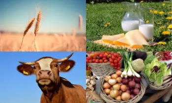 Валовой выпуск сельхозпродукции достиг 59,1 млрд сомов в январе–апреле