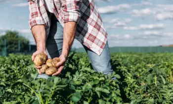 Бизнесмены Ошской и Чуйской областей стали лидерами по объему полученных гарантий