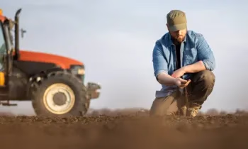 Алынган кепилдиктердин көлөмү боюнча Ош жана Чүй облустарынын бизнес өкүлдөрү алдыңкы орунда
