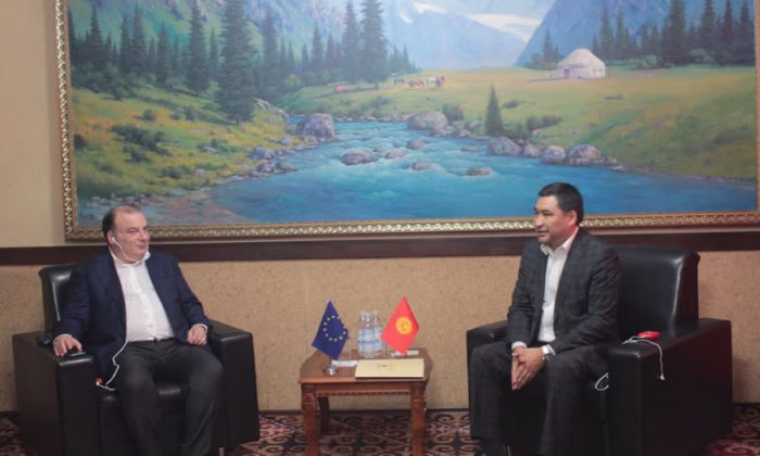 Глава Минэкономкоммерции КР встретился с делегацией Европарламента