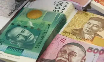 Каждый третий микрокредит — краткосрочный: растет спрос на займы до 3 месяцев