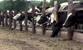 АЧК-13 долбоору боюнча 3,5 млрд сом жеңилдетилген насыялар каржыланды