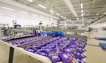 Чет элдик алдамчылар Америка жана Европадан «кыялдагы жумушту» сунуштап жатат