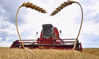 По проекту «ФСХ-13» профинансировано 3,7 млрд сомов льготных кредитов