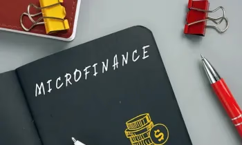 МФО обяжут разработать и внедрить внутреннюю политику противодействия мошенничеству