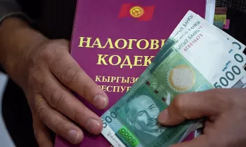 МСК: Орто бизнестин өкүлдөрү ай сайын бирдиктүү салык отчетун берүүгө милдеттүү