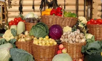 «Банк Компаньон» провел агротренинг для семей мигрантов в Беш-Тереке