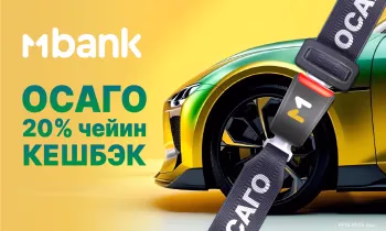 Жолдордогу коркунуч: ОСАГОсуз жүргөнүңүз үчүн айыптан кантип сактануу керек?