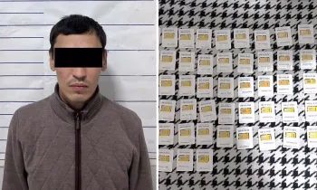 Пресечена деятельность международной преступной группы, занимавшейся мошенничеством