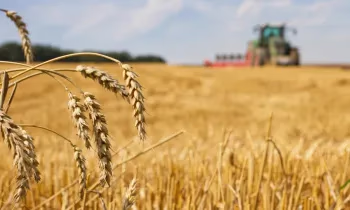 По проекту ФСХ-13 профинансировано льготных кредитов на 4 млрд сомов