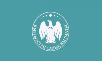 Кыргызстандын салык кызматынын жаңы туусу жана символикасы бекитилди