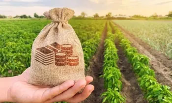 По проекту «ФСХ-13» аграрии получили более 4 млрд сомов льготных кредитов