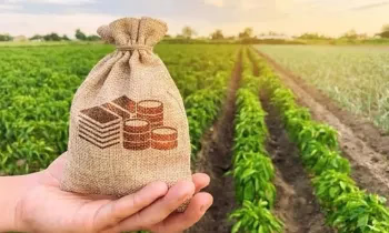 «АЧК-13» долбоору боюнча 4 млн сомдон ашык жеңилдетилген насыя каржыланды