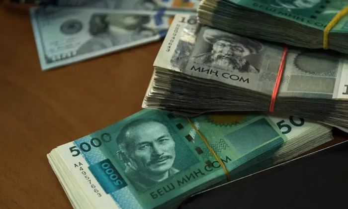 Кредиты в сомах доминируют: 82% выдач приходится на нацвалюту