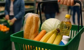 На что хватит прожиточного минимума в 8 697 сомов: расклад от Нацстаткома