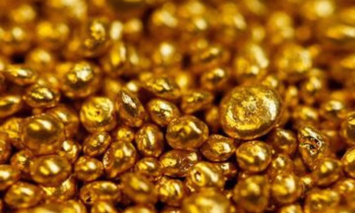 Проект «Электронный сом» будет подкреплен отечественным золотом