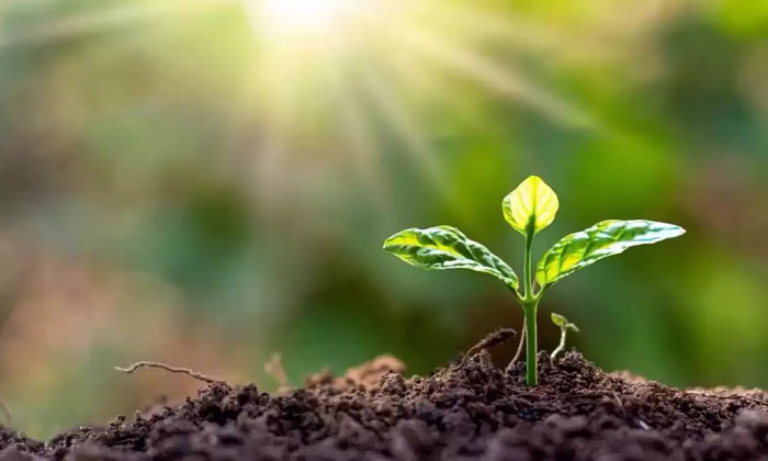 «Банк Компаньон» проведет серию агротренингов для семей мигрантов - график на 2026 год