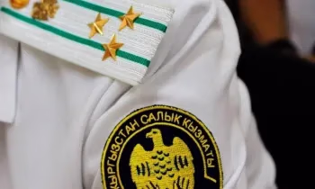 Бани, сауны и сетевой фастфуд подключат к пилоту ФПО