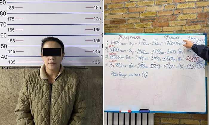 Бишкекте элди 20 млн сомго алдап кетүүгө шектүү аял кармалды