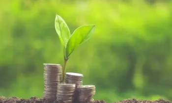 Фермерам дадут кредиты под 3%: какие условия