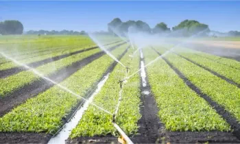 Дыйкандарга сугат системаларын жакшыртуу үчүн 2% менен насыя берилет