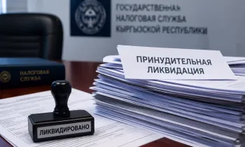 Более 20 тысяч компаний в Кыргызстане закроют принудительно