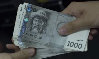 На треть больше: кыргызстанцы стали чаще брать микрокредиты