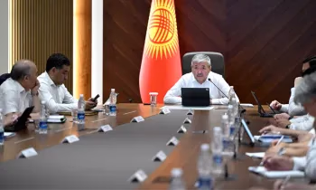 Кабмин запустил новые цифровые реформы: онлайн-снятие залога и автопродление пособий студентам