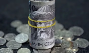 Кыргызстанцы стали чаще брать микрокредиты на потребительские нужды