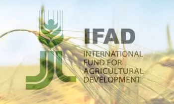 Борьба с бедностью в селах: IFAD предоставит Кыргызстану 21 млн долларов под 0% годовых