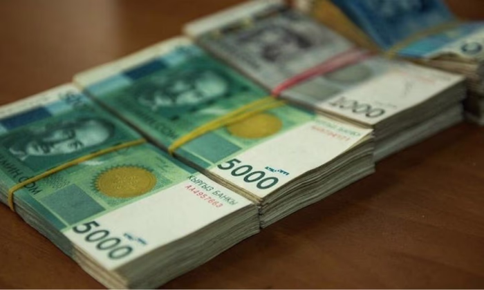 Деньги пенсионеров будут хранить на депозитах в иностранной валюте