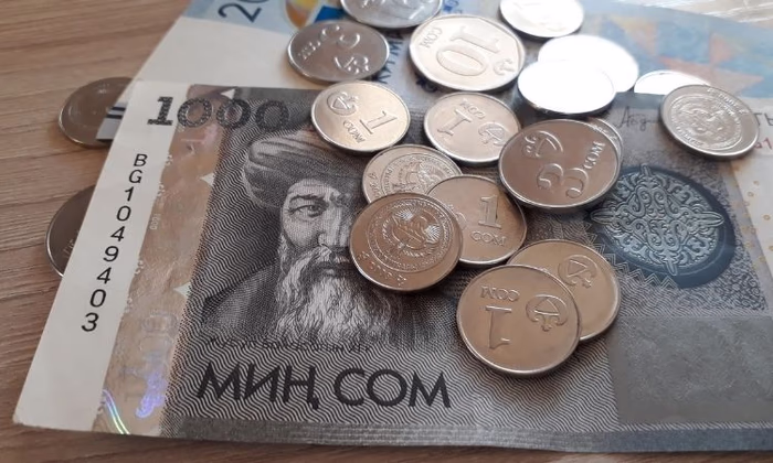 Нацбанк пытается удержать сом на плаву