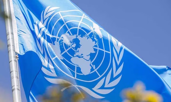 Отчетность будет создаваться с акцентом на вклад в устойчивое развитие КР