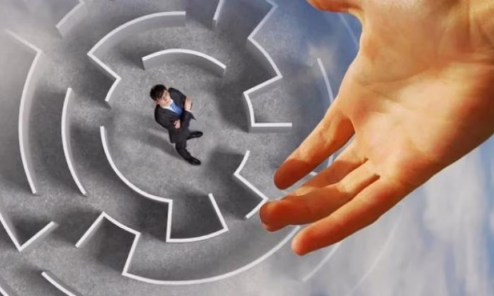 Новый гарантийный продукт оценили 1 126 предпринимателей