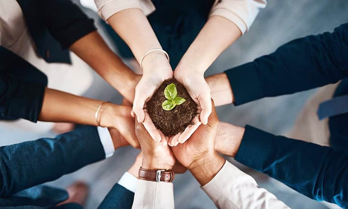 Банки КР выдали кредиты под гарантии ОАО «ГФ» на 13 млрд сомов