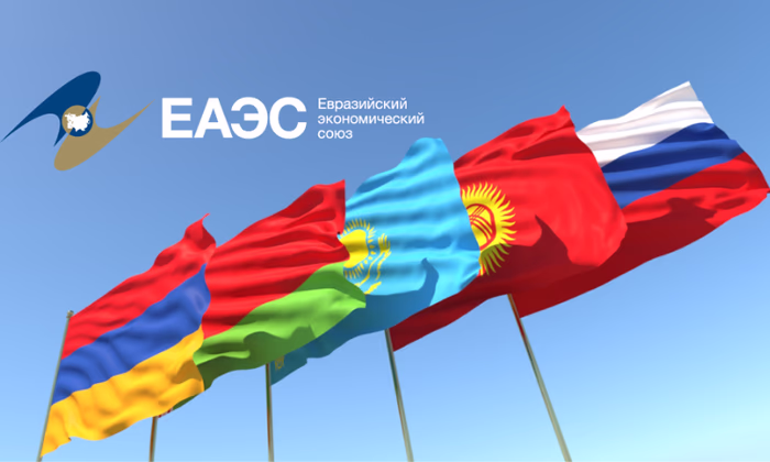 Как обеспечить трудовым мигрантам комфортные условия труда в ЕАЭС?