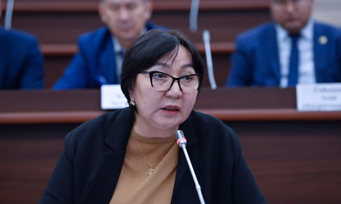 Фракция «Ата-Журт Кыргызстан» заслушала информацию о работе ОАО «ГИК»