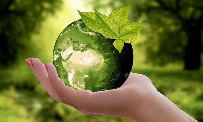 Lady in Green: Запускается финансирование для женщин в сфере утилизации