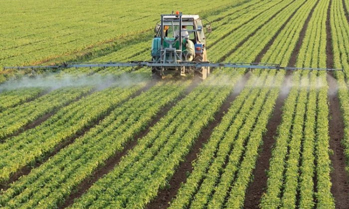 «Айыл Банк» и «РСК Банк» выдали 2 379 льготных кредитов