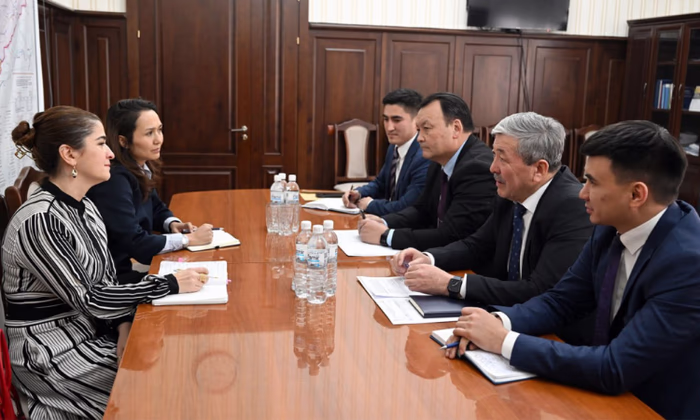 В кабмине обсудили вопросы женского предпринимательства и зеленой экономики