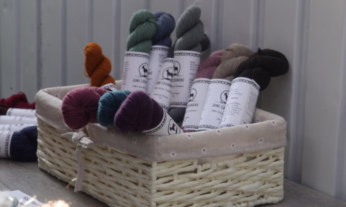 В Бишкеке открыта производственная линия ОсОО «Кыргыз Кашемир»