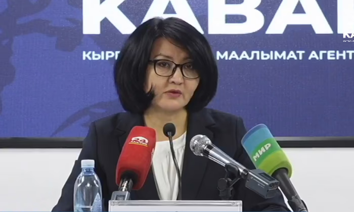 НБ КР: В системе банков находятся 600 млн USD, из них 40% - в наличном виде