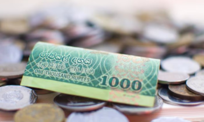 К кому обратился Минфин Шри-Ланки, чтобы решить проблему дефицита монет?