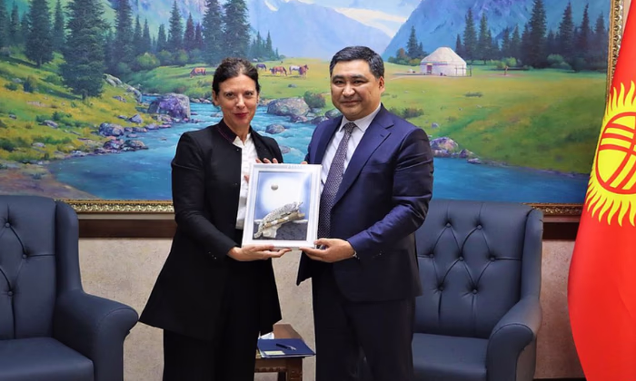 Антье Граве высоко оценила работу Минэкономкоммерции КР