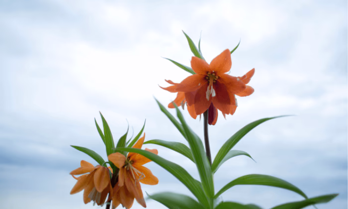 На кредитование пострадавших предпринимателей Баткена выделят 90 млн сомов