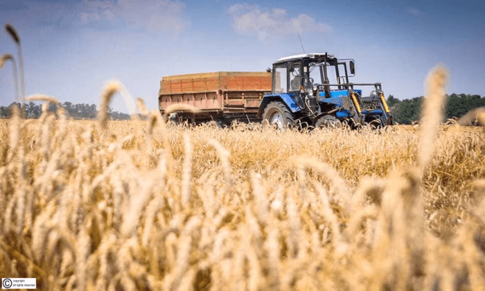 На кредитование агропромышленного комплекса выделено 3,2 млрд сомов